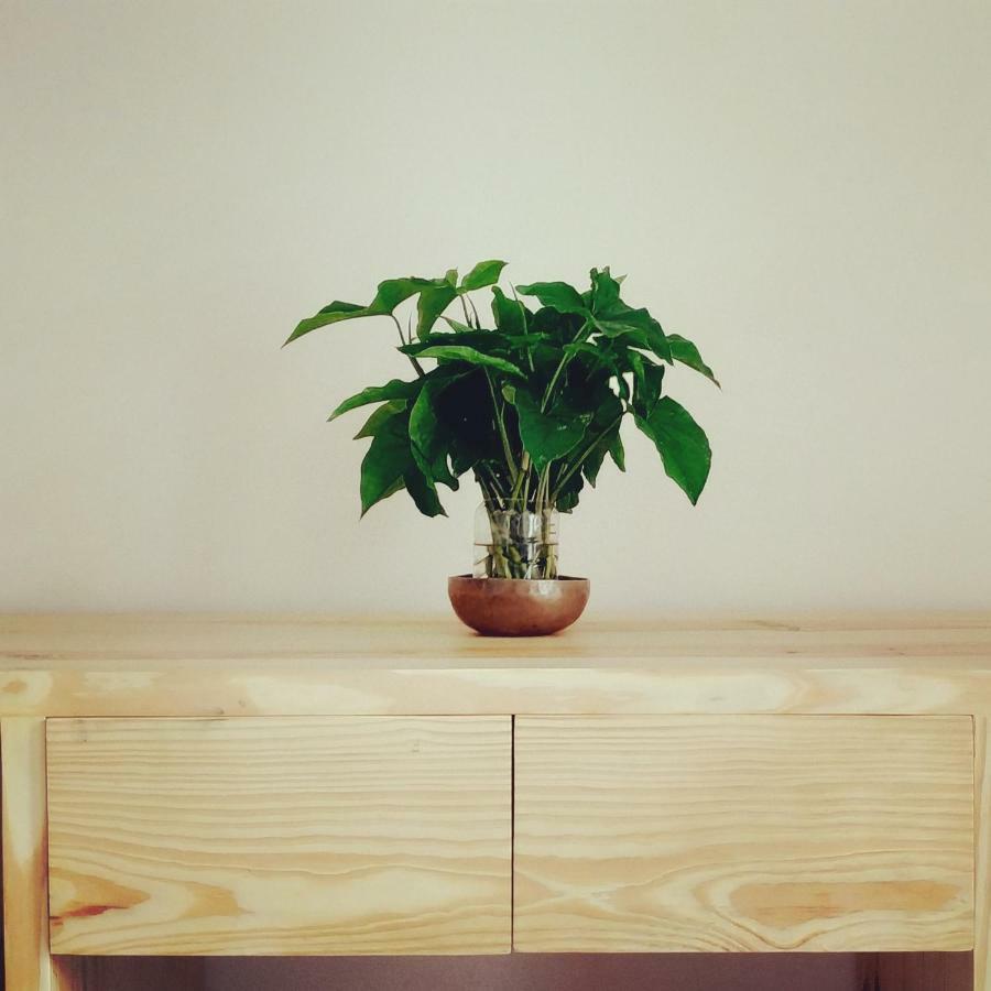 Sayami Home Lalitpur Екстер'єр фото